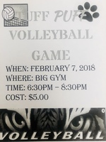 Tuff Puff Volleyball Game