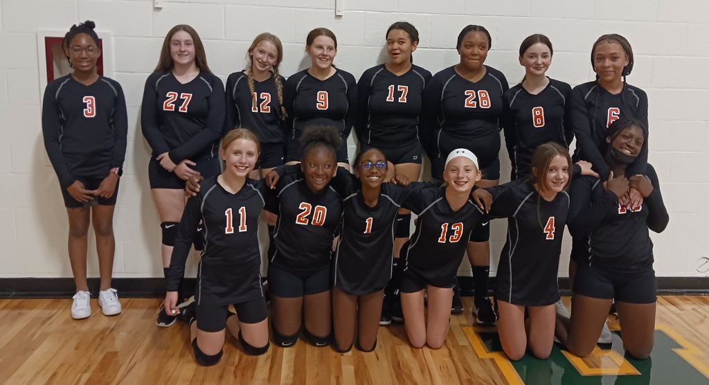 MMS - Volleyball - 1