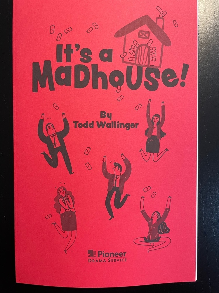 it’s a madhouse - play script 